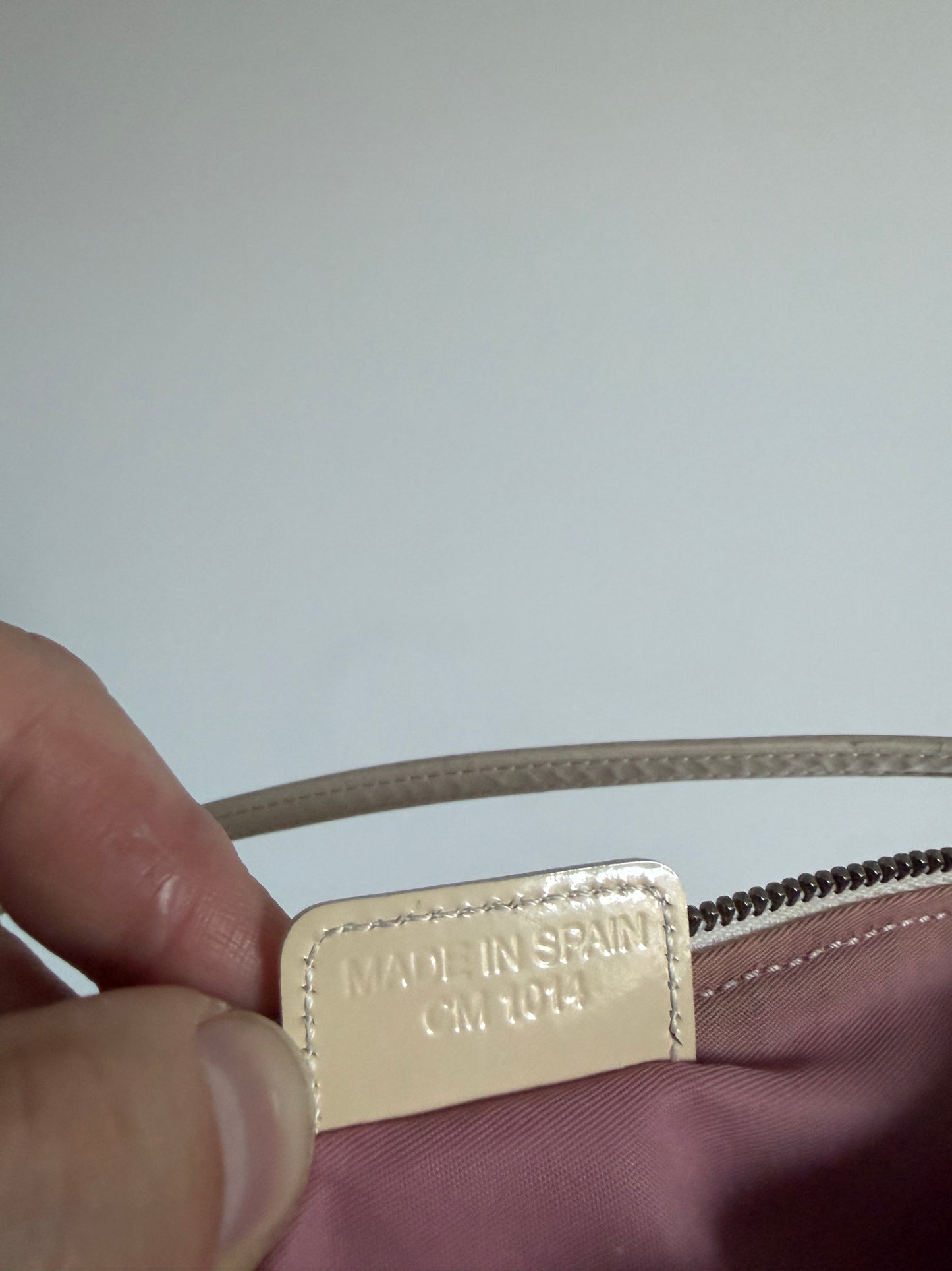 Christian Dior Pink Trotter Saddle