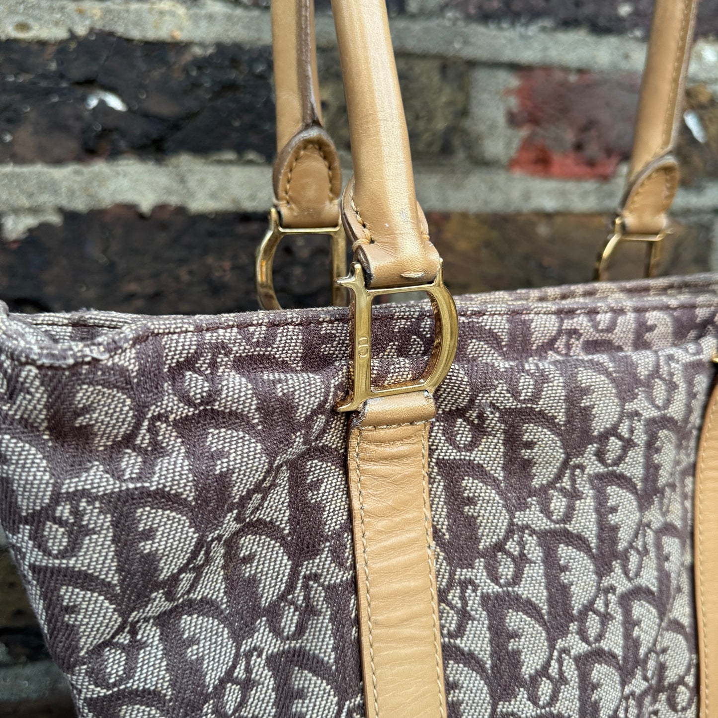 Christian Dior Oblique Monogram Tote Bag