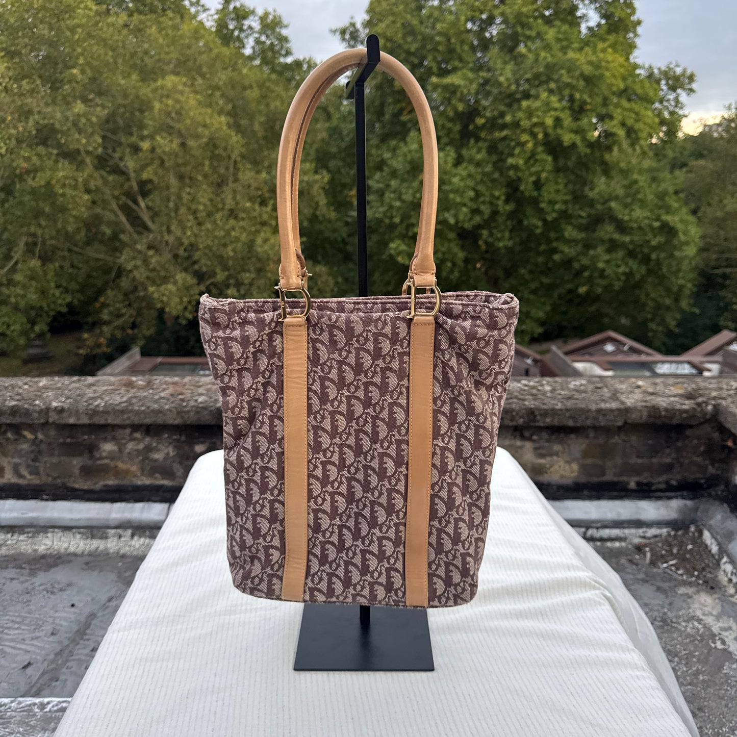 Christian Dior Oblique Monogram Tote Bag
