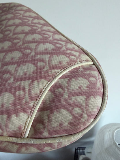 Christian Dior Pink Trotter Saddle