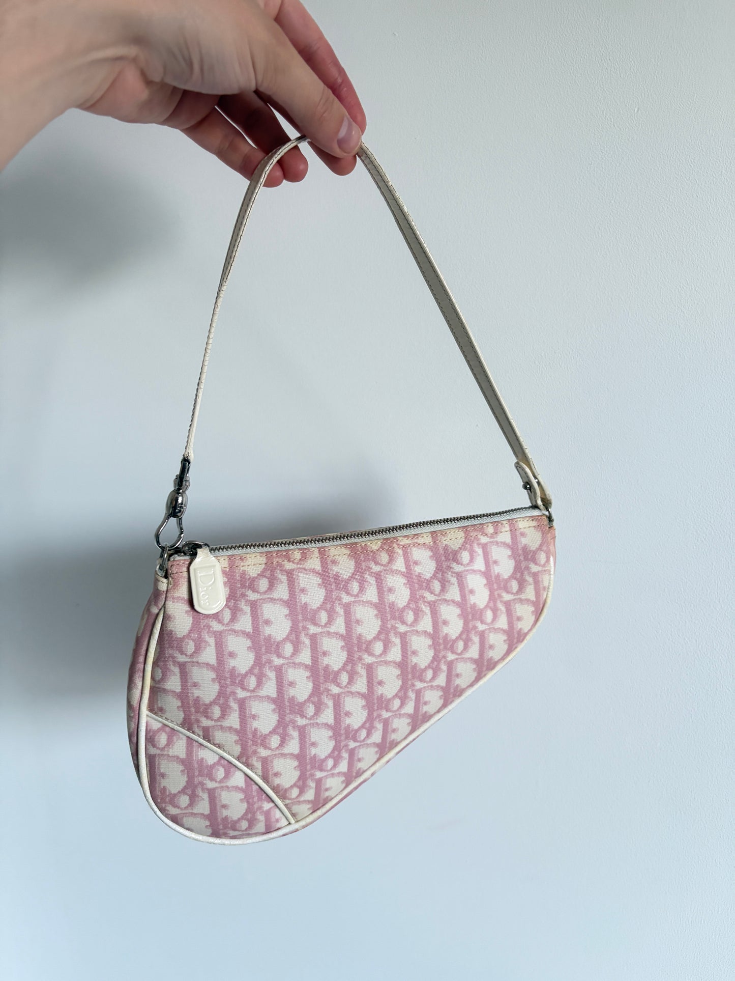 Christian Dior Pink Trotter Saddle