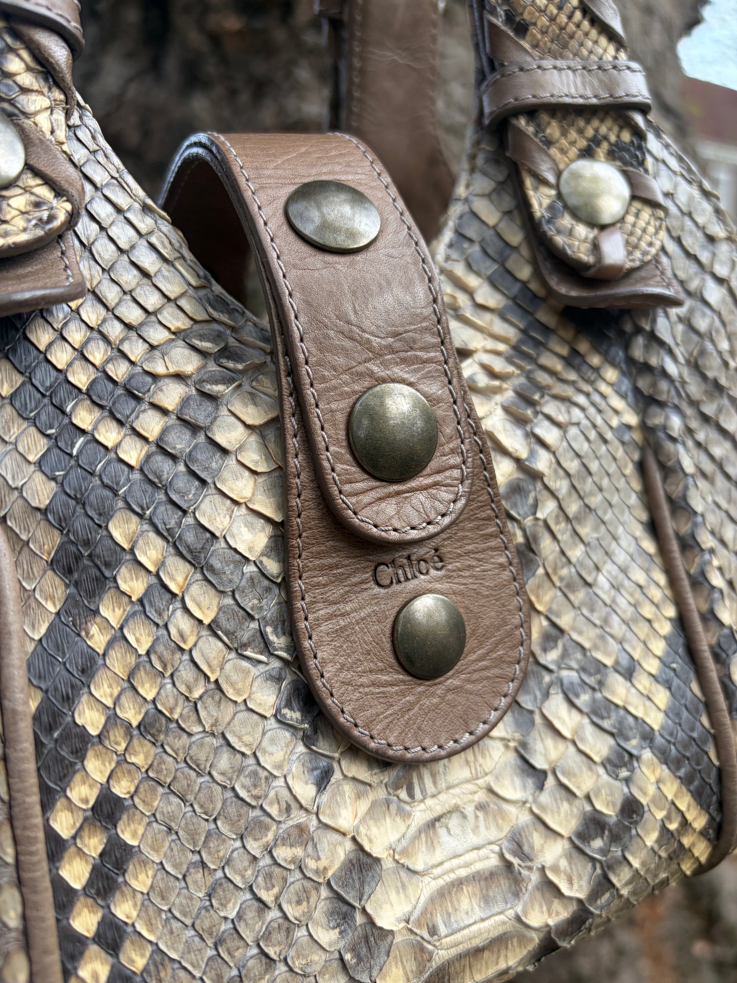 2004 Phoebe Philo Chloé Natural Python Leather Silverado Satchel Bag