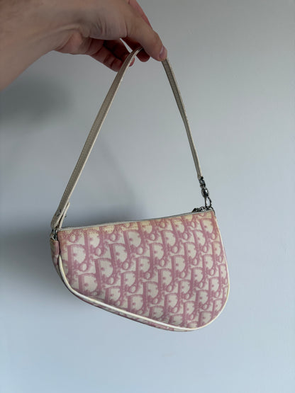 Christian Dior Pink Trotter Saddle