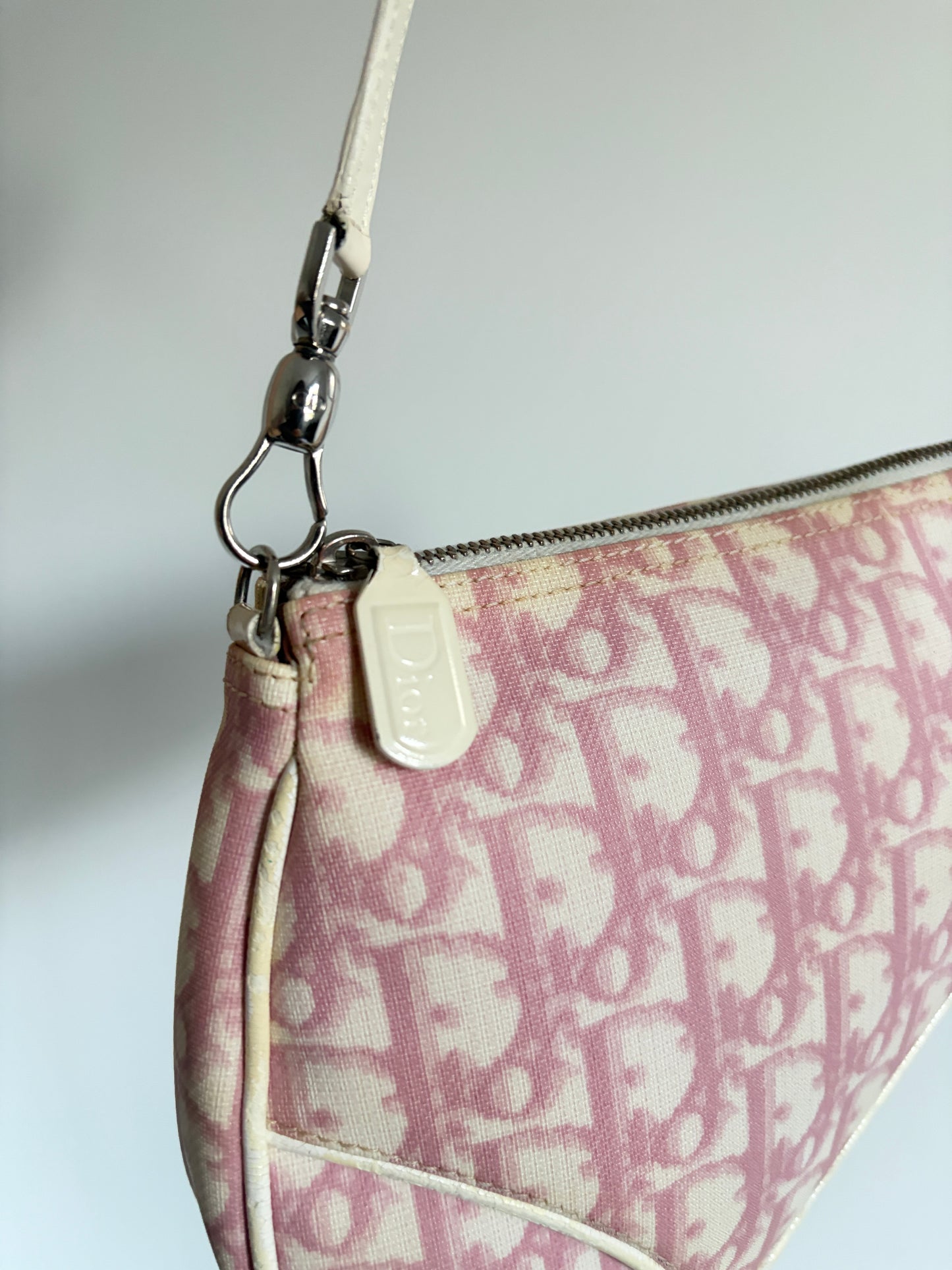 Christian Dior Pink Trotter Saddle
