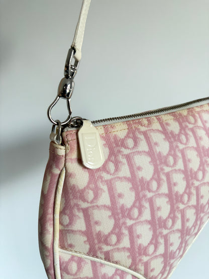 Christian Dior Pink Trotter Saddle