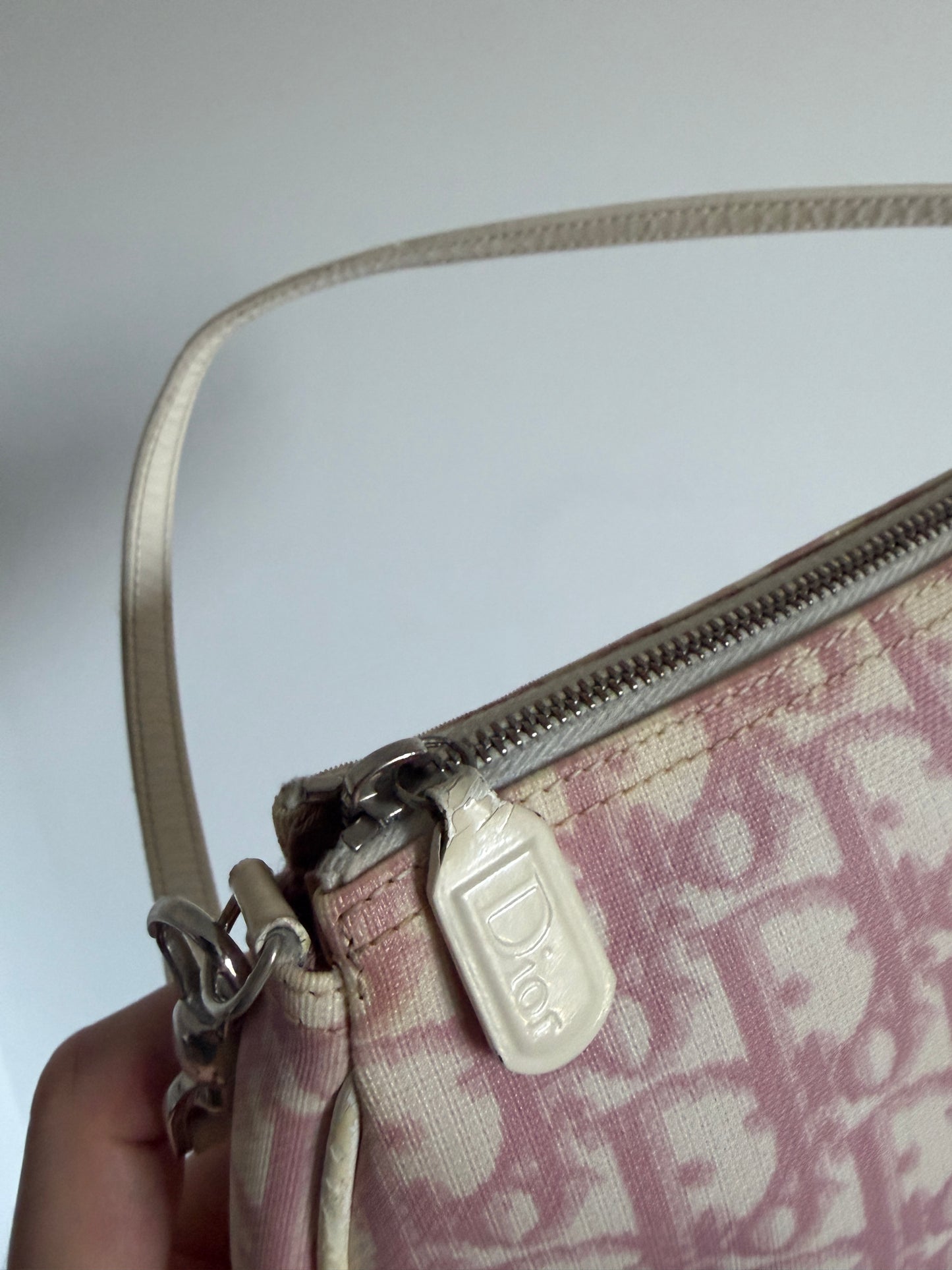 Christian Dior Pink Trotter Saddle