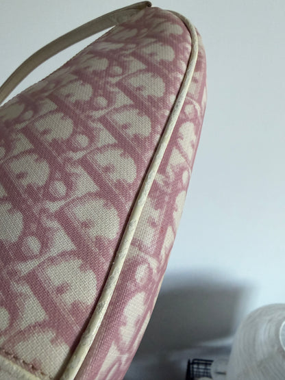 Christian Dior Pink Trotter Saddle