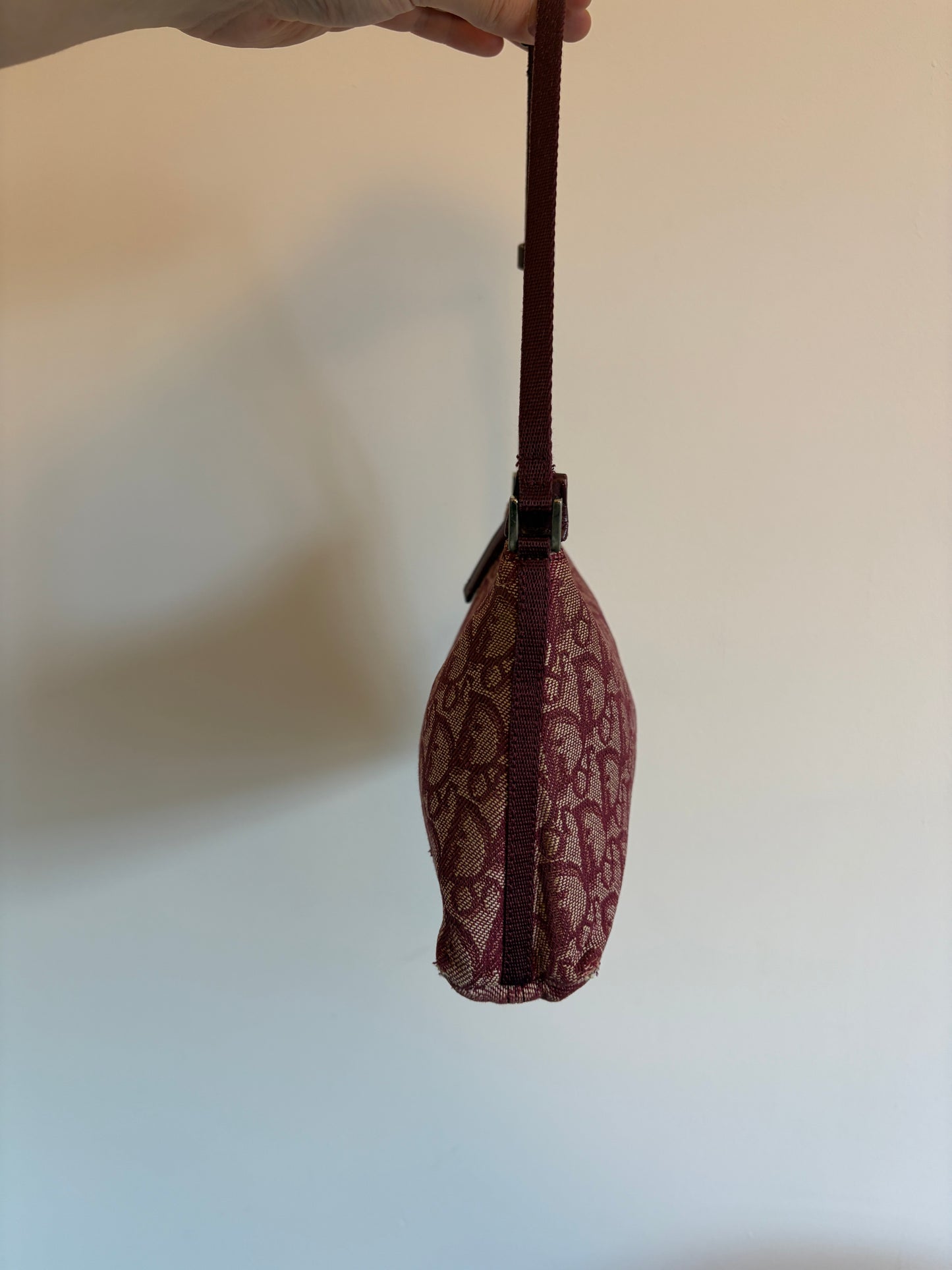 Christian Dior Trotter Shoulder Bag