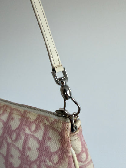 Christian Dior Pink Trotter Saddle