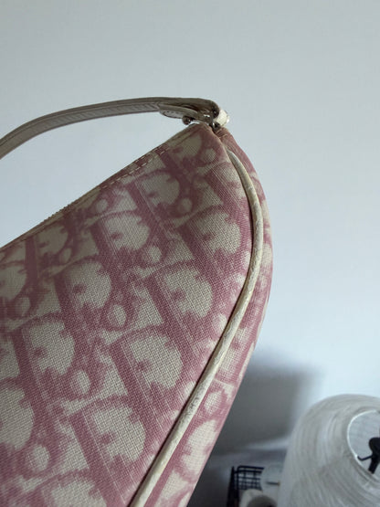 Christian Dior Pink Trotter Saddle