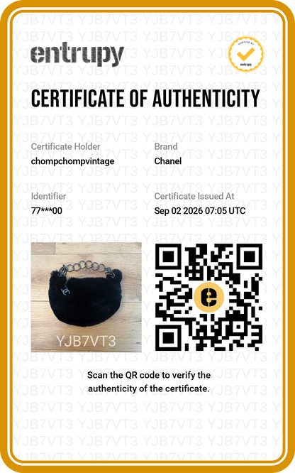 Archive '02 Chanel Black Lapin Fur Chain Hobo Bag