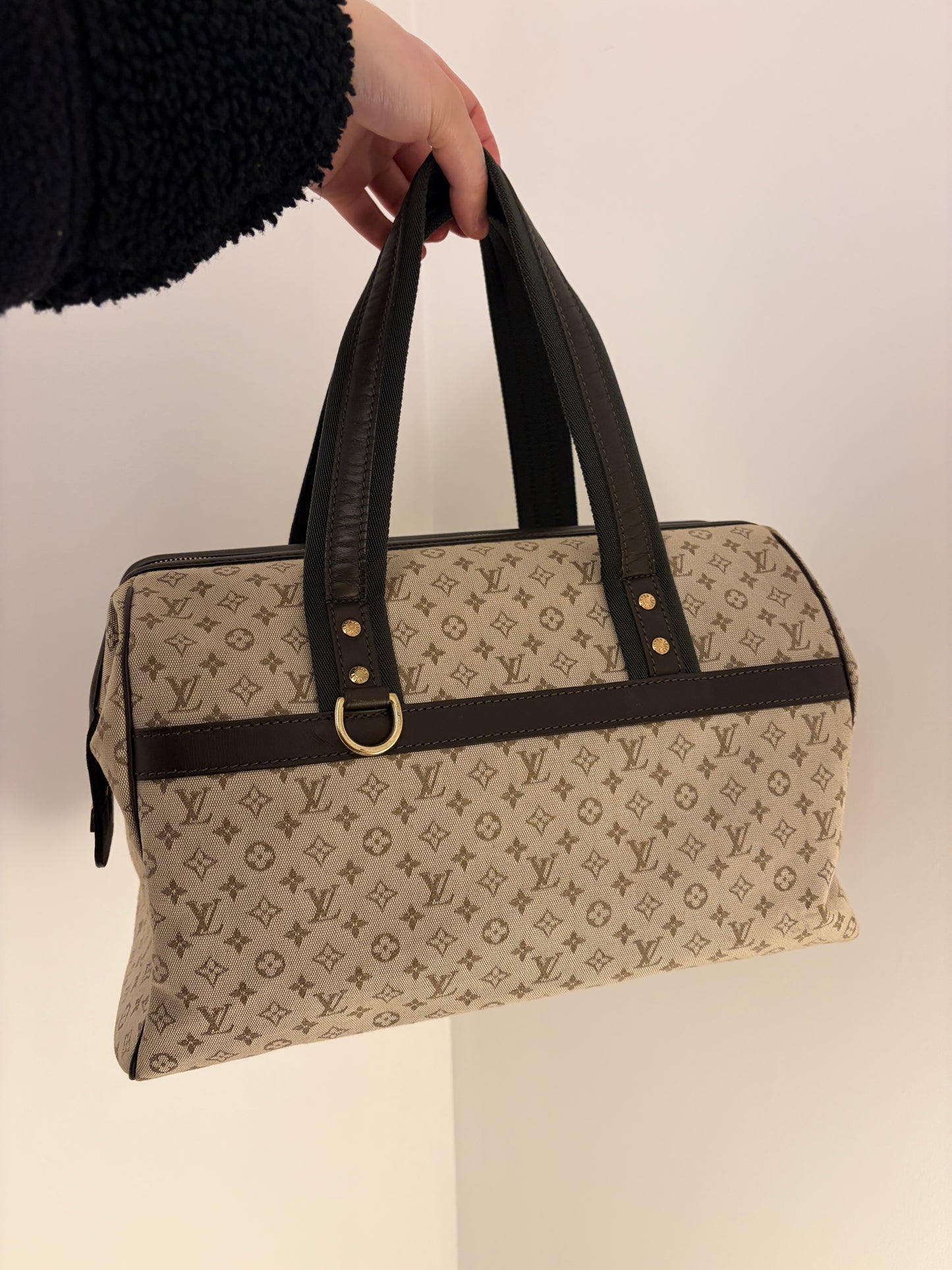 Louis Vuitton Josephine GM Mini Lin Bag