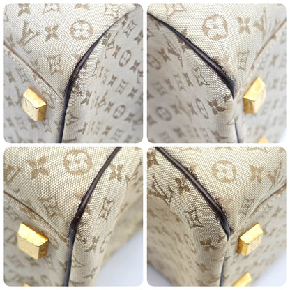 Louis Vuitton Josephine GM Mini Lin Bag