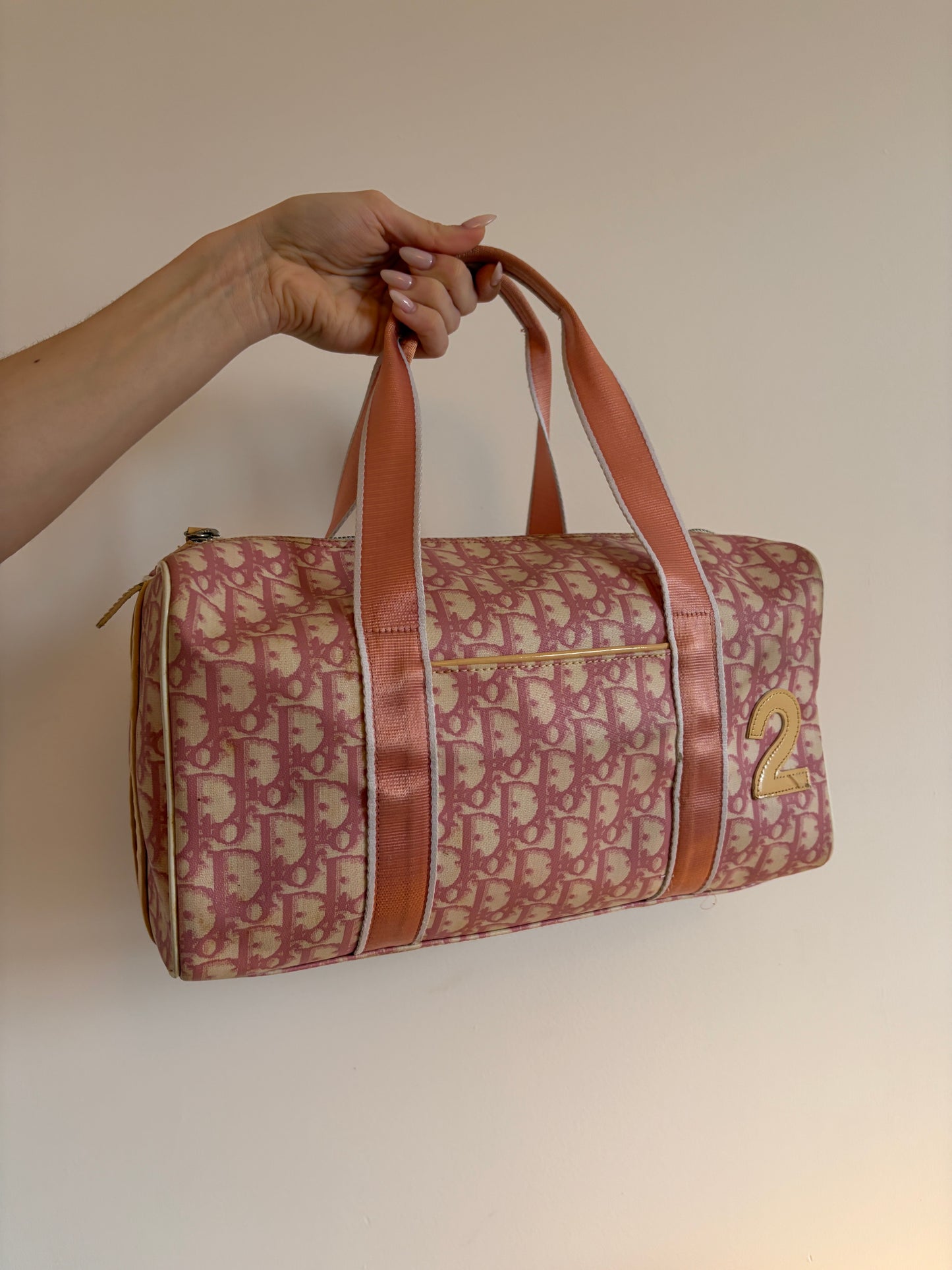 Christian Dior Trotter Canvas Mini Boston Bag