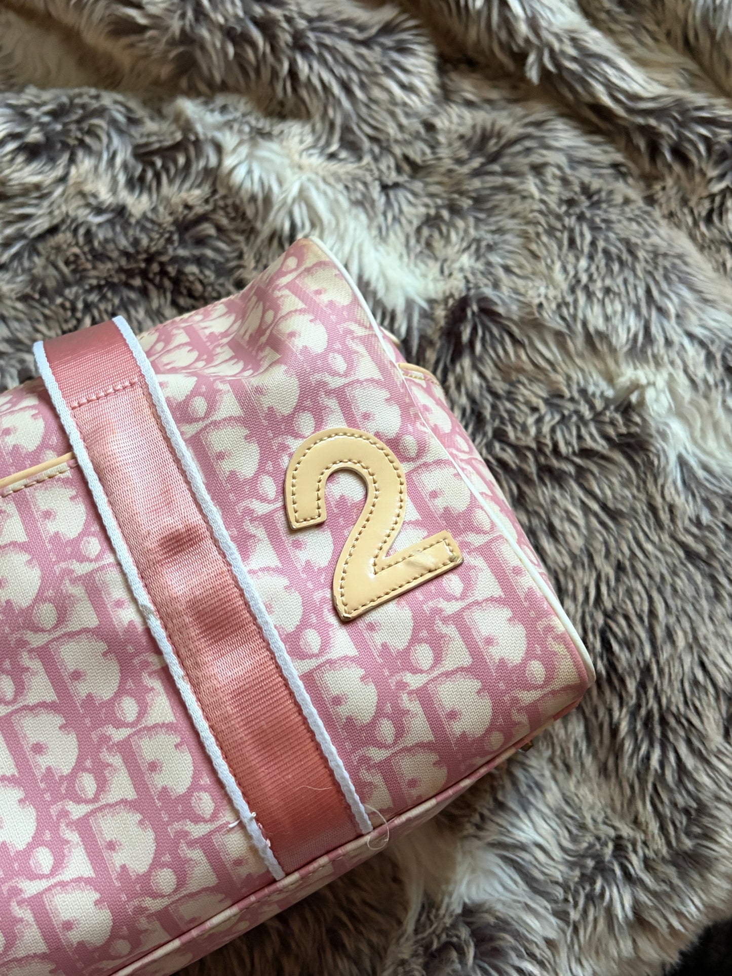 Christian Dior Trotter Canvas Mini Boston Bag