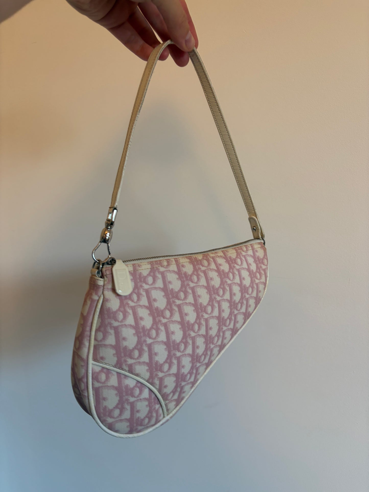 Christian Dior Pink Trotter Saddle