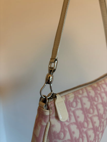 Christian Dior Pink Trotter Saddle