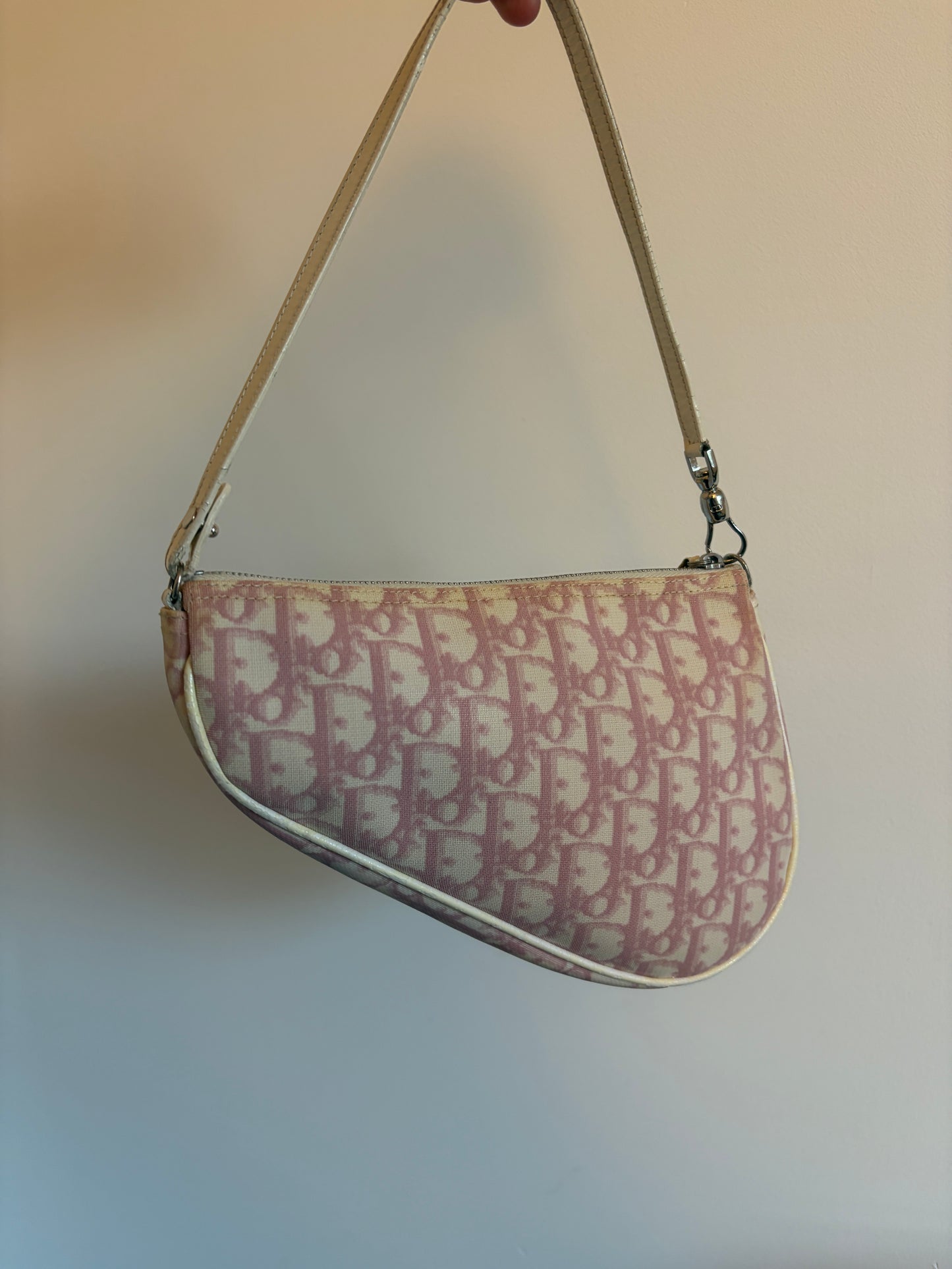 Christian Dior Pink Trotter Saddle
