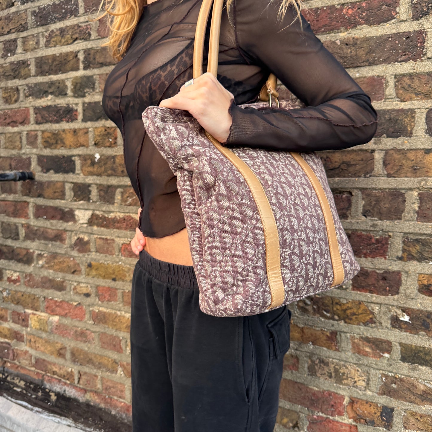 Christian Dior Oblique Monogram Tote Bag